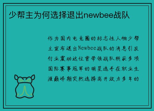 少帮主为何选择退出newbee战队