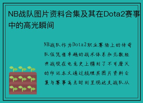 NB战队图片资料合集及其在Dota2赛事中的高光瞬间
